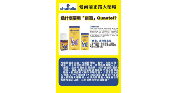 Quantel Round & Tapewormer 康圖杜虫丸- 2粒裝